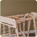 Sports and game complex &ldquo;Trapeze with ladder with all additions&rdquo;