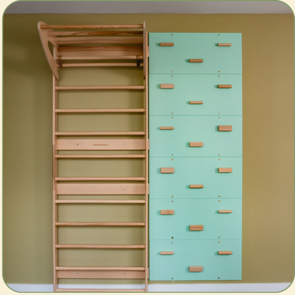 Wooden Swedish wall with climbing wall